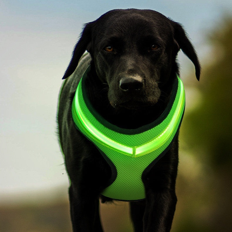 LED Light-Up Dog Harness