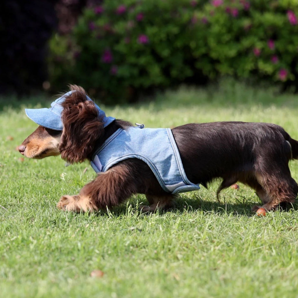 Pet Cowboy Hat