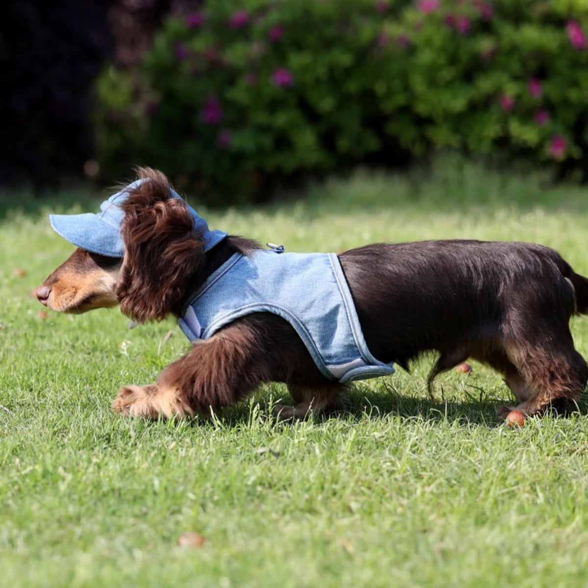 Pet Cowboy Hat