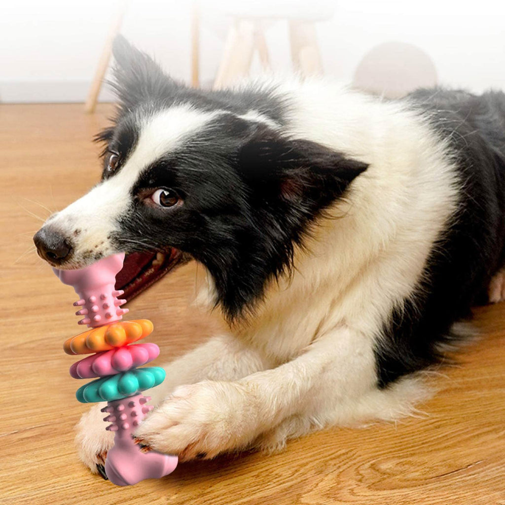 Durable Bone Chew Toy