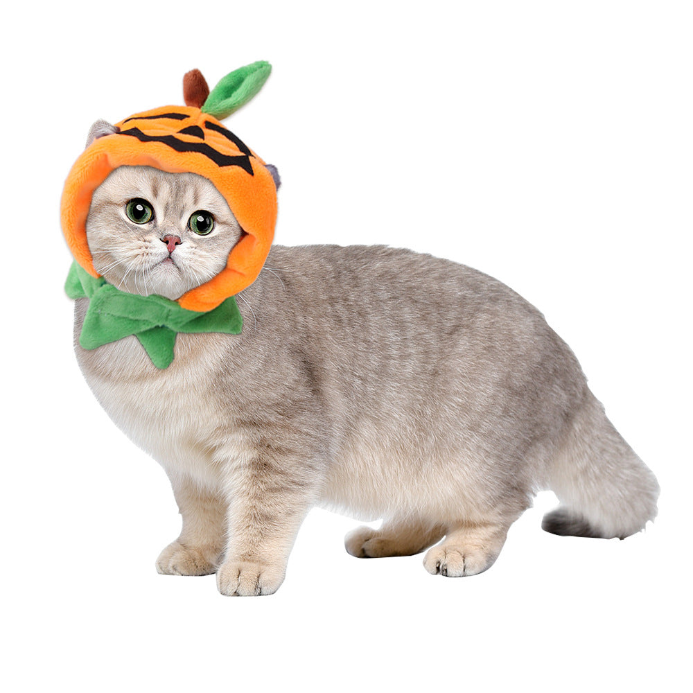 Pumpkin Pet Cloak
