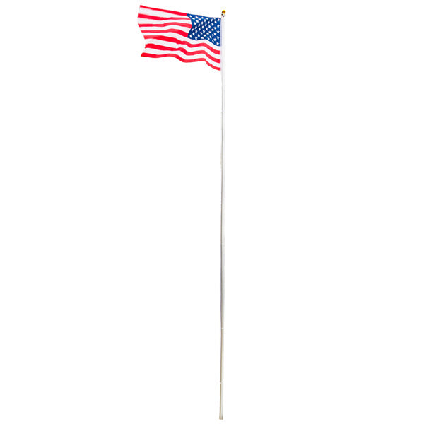 25 ft Flagpole Kit with US Flag