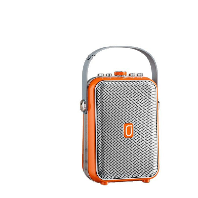 Outdoor Karaoke Speaker with Two Mics