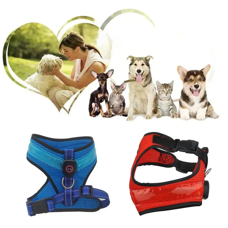 LED Light-Up Dog Harness