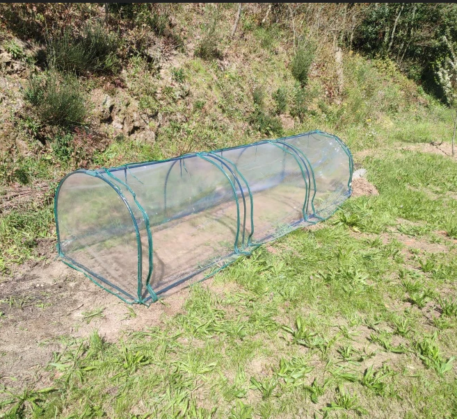 Tunnel Greenhouse with Steel Frame