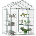 Mini Walk-In Greenhouse with Shelves