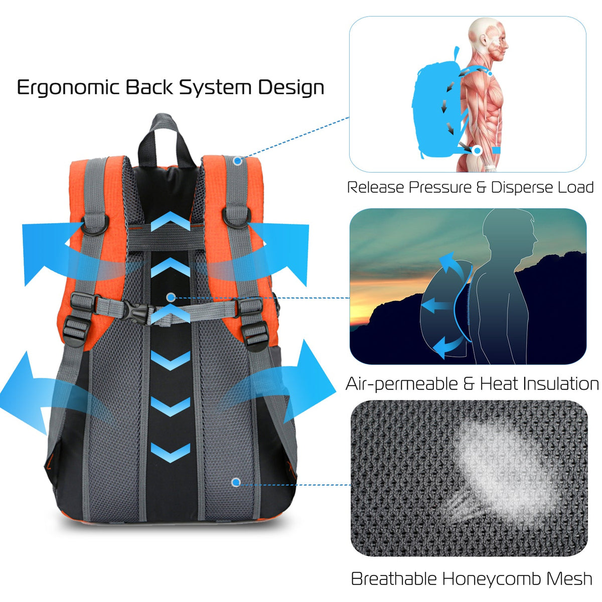 36L Water-Resistant Daypack