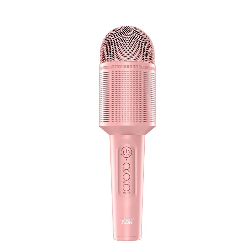 Karaoke Microphone with Built-In Speaker
