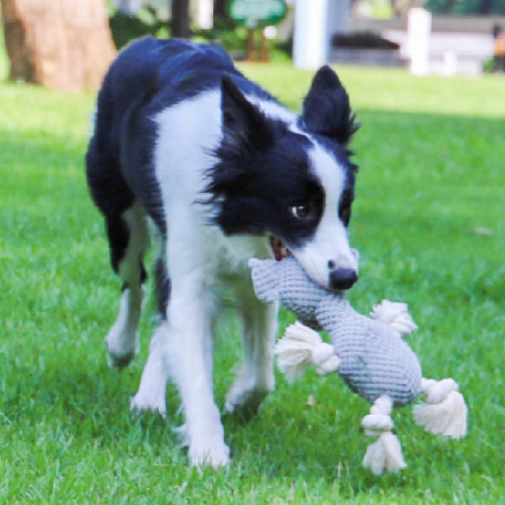Plush Chew-Resistant Dog Toy