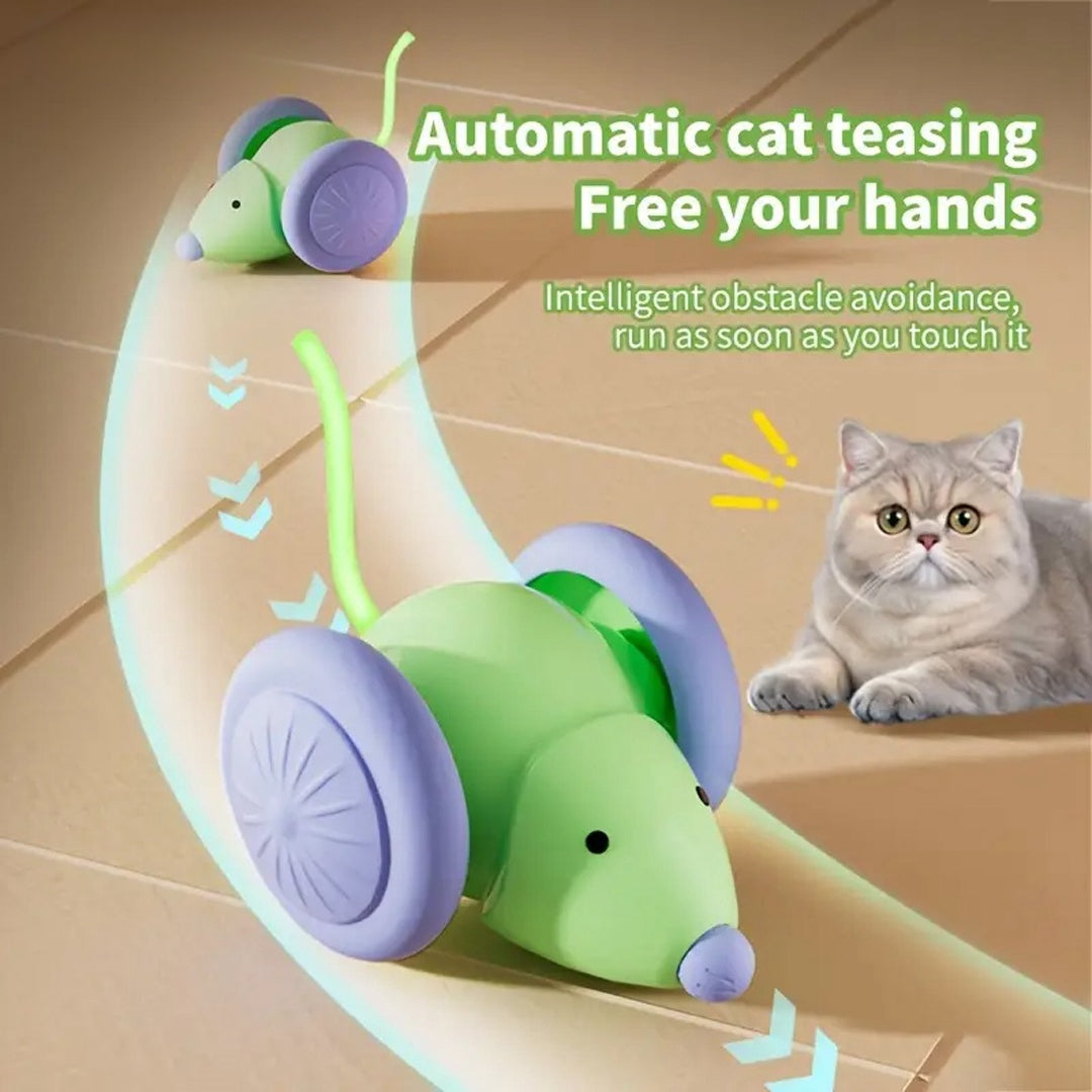Smart Mouse Car Cat Toy