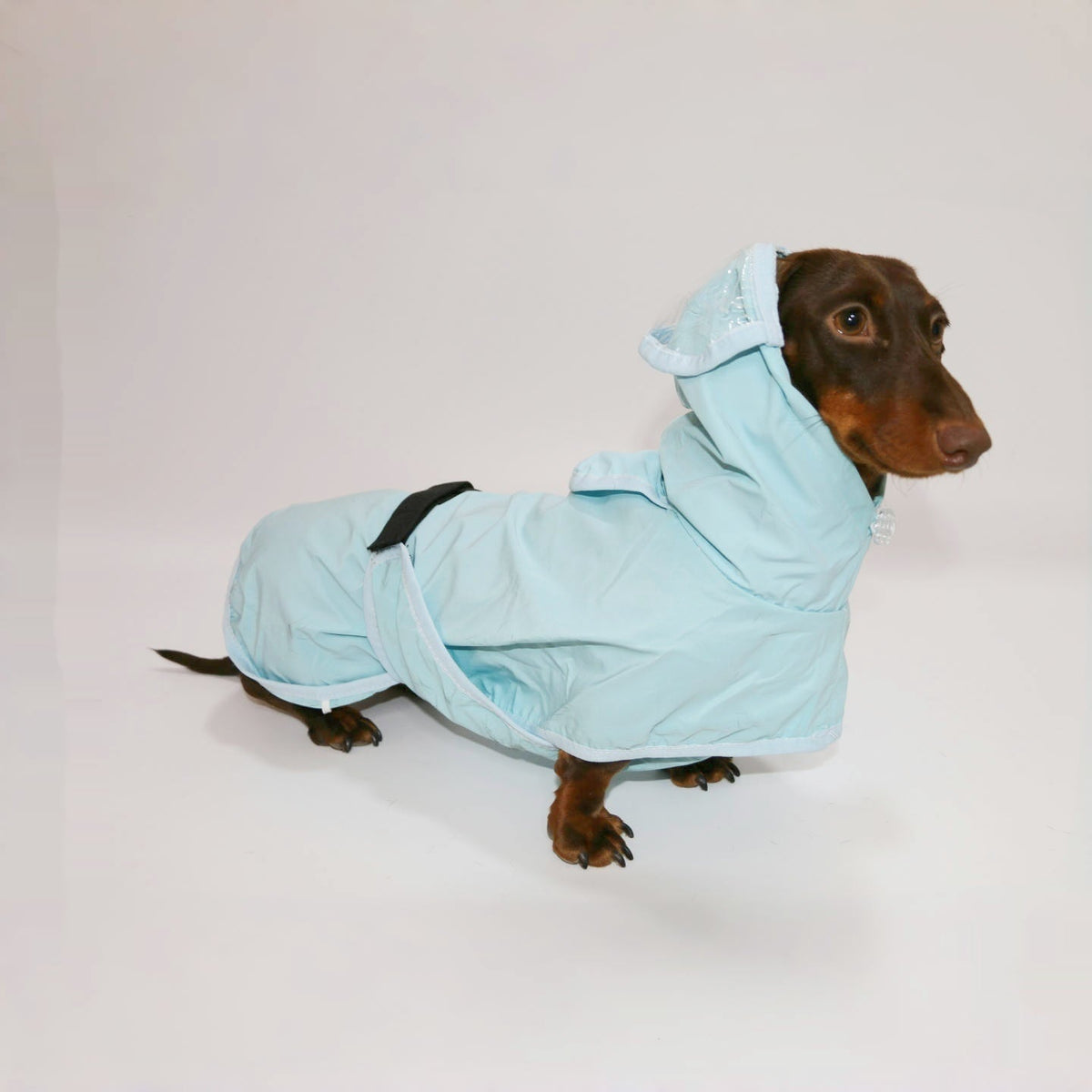Dog Hooded Rain Poncho